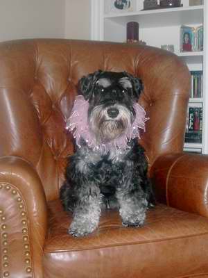 Sophie3.jpg