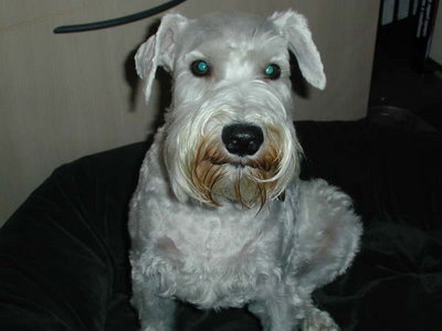 Sully4.jpg