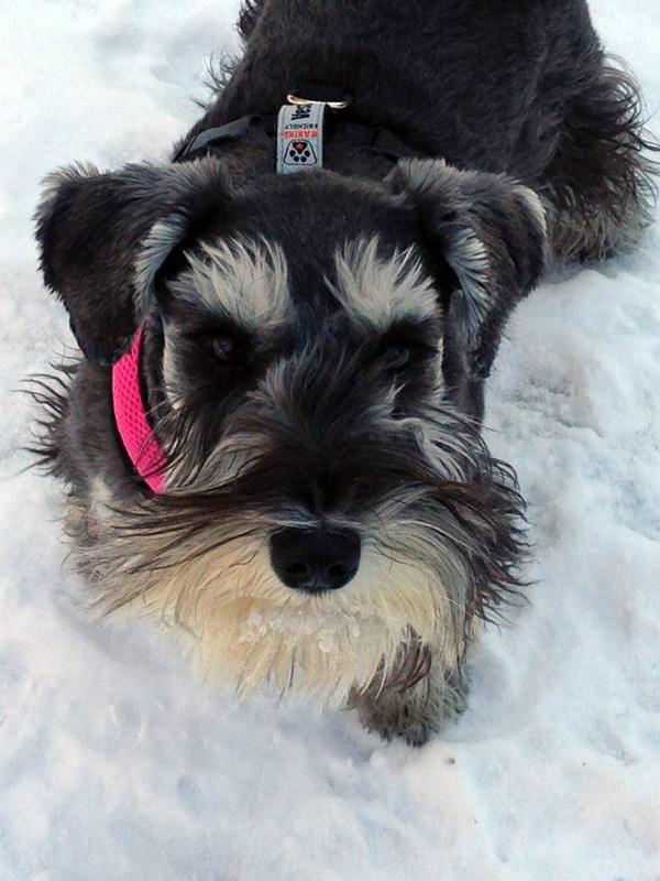 Sophie8.jpg