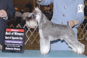 Mack